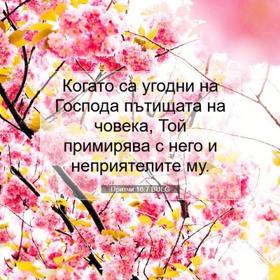 Picture 07 - Притчи 16:7 BULG - Когато са угодни на - Bible Verse Picture