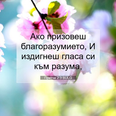 Picture 07 - Притчи 2:3 BULG - Ако призовеш - Bible Verse Picture