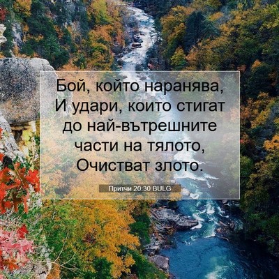Picture 07 - Притчи 20:30 BULG - Бой, който наранява, И - Bible Verse Picture