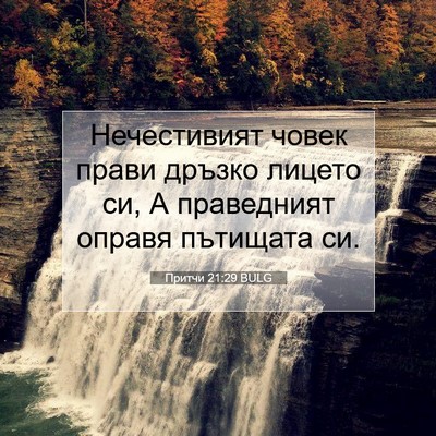 Picture 07 - Притчи 21:29 BULG - Нечестивият човек прави - Bible Verse Picture