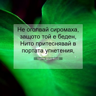 Picture 07 - Притчи 22:22 BULG - Не оголвай сиромаха, - Bible Verse Picture