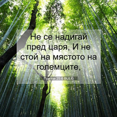 Picture 07 - Притчи 25:6 BULG - Не се надигай пред царя, И - Bible Verse Picture