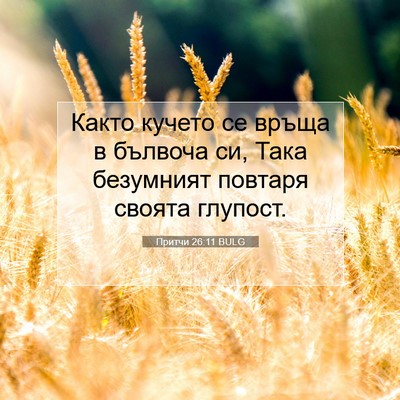 Picture 07 - Притчи 26:11 BULG - Както кучето се връща в - Bible Verse Picture