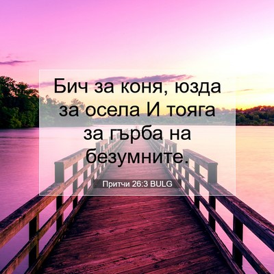Picture 07 - Притчи 26:3 BULG - Бич за коня, юзда за осела И - Bible Verse Picture