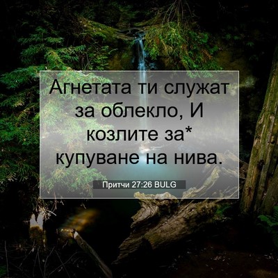 Picture 07 - Притчи 27:26 BULG - Агнетата ти служат за - Bible Verse Picture