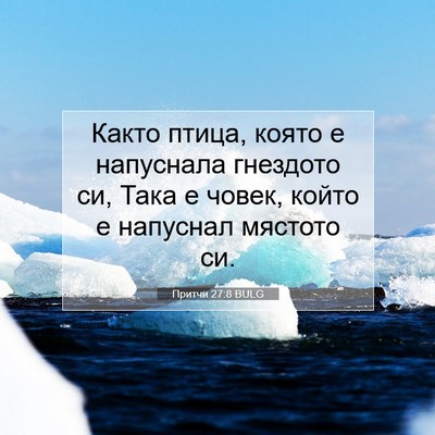 Picture 07 - Притчи 27:8 BULG - Както птица, която е - Bible Verse Picture