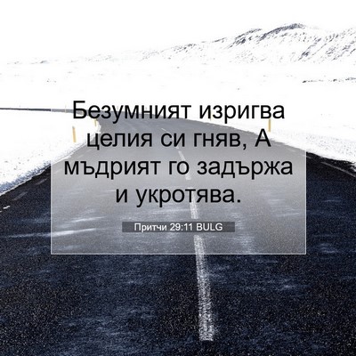 Picture 07 - Притчи 29:11 BULG - Безумният изригва целия си - Bible Verse Picture