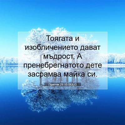 Picture 07 - Притчи 29:15 BULG - Тоягата и изобличението - Bible Verse Picture