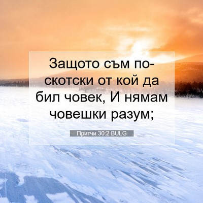 Picture 07 - Притчи 30:2 BULG - Защото съм по-скотски от - Bible Verse Picture