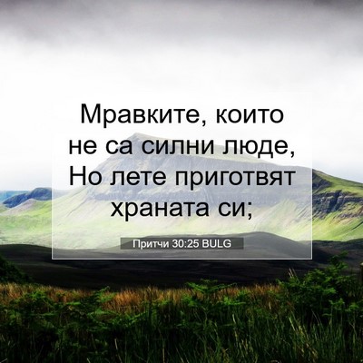 Picture 07 - Притчи 30:25 BULG - Мравките, които не са силни - Bible Verse Picture