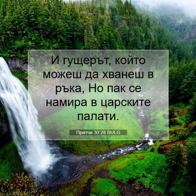 Picture 07 - Притчи 30:28 BULG - И гущерът, който можеш да - Bible Verse Picture