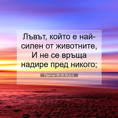Picture 07 - Притчи 30:30 BULG - Лъвът, който е най-силен от - Bible Verse Picture