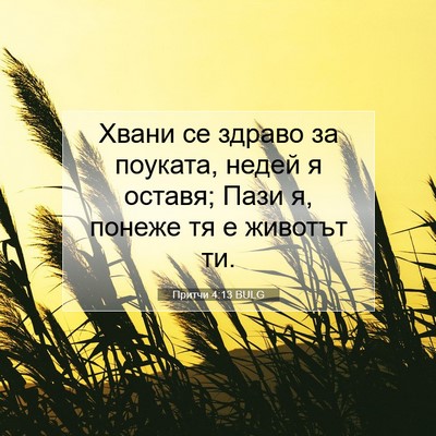 Picture 07 - Притчи 4:13 BULG - Хвани се здраво за поуката, - Bible Verse Picture