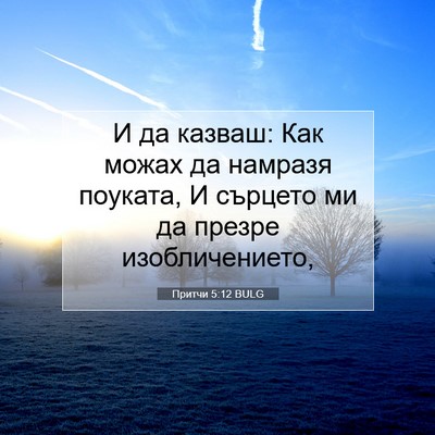 Picture 07 - Притчи 5:12 BULG - И да казваш: Как можах да - Bible Verse Picture