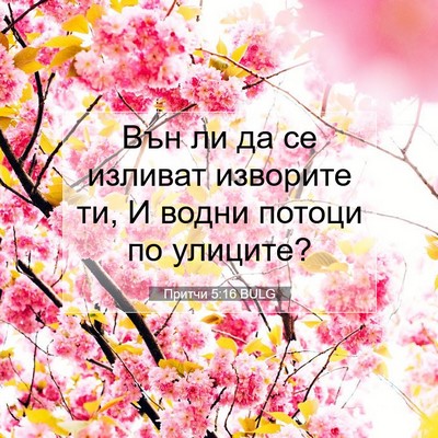 Picture 07 - Притчи 5:16 BULG - Вън ли да се изливат - Bible Verse Picture