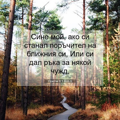 Picture 07 - Притчи 6:1 BULG - Сине мой, ако си станал - Bible Verse Picture