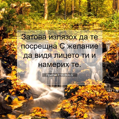 Picture 07 - Притчи 7:15 BULG - Затова излязох да те - Bible Verse Picture