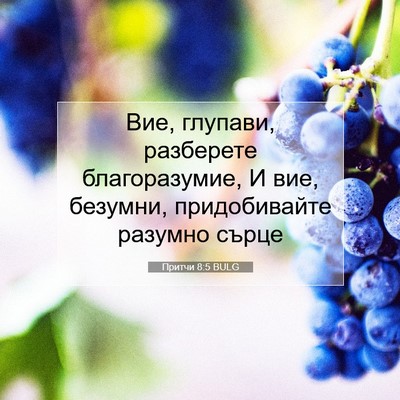 Picture 07 - Притчи 8:5 BULG - Вие, глупави, разберете - Bible Verse Picture