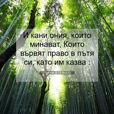 Picture 07 - Притчи 9:15 BULG - И кани ония, които минават, - Bible Verse Picture