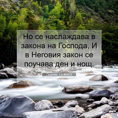 Picture 07 - Псалми 1:2 BULG - Но се наслаждава в закона - Bible Verse Picture