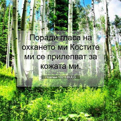 Picture 07 - Псалми 102:5 BULG - Поради гласа на охкането - Bible Verse Picture