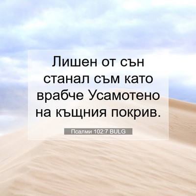 Picture 07 - Псалми 102:7 BULG - Лишен от сън станал съм - Bible Verse Picture