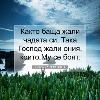 Picture 07 - Псалми 103:13 BULG - Както баща жали чадата си, - Bible Verse Picture