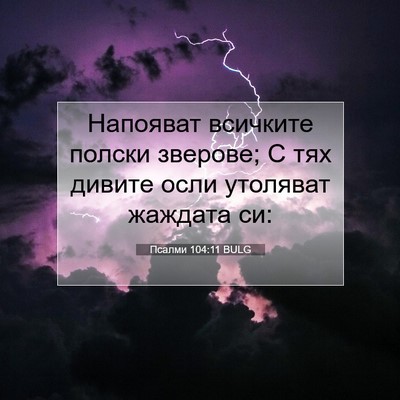 Picture 07 - Псалми 104:11 BULG - Напояват всичките полски - Bible Verse Picture