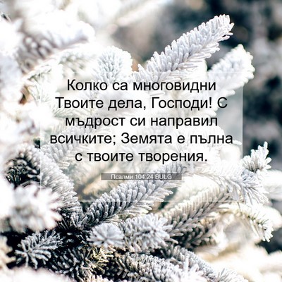 Picture 07 - Псалми 104:24 BULG - Колко са многовидни Твоите - Bible Verse Picture