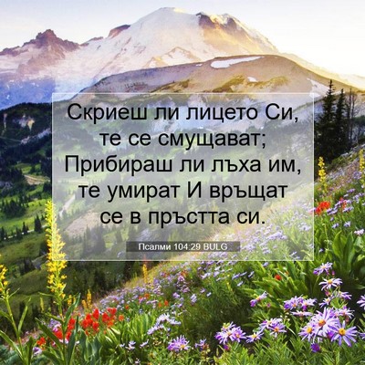 Picture 07 - Псалми 104:29 BULG - Скриеш ли лицето Си, те се - Bible Verse Picture