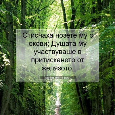 Picture 07 - Псалми 105:18 BULG - Стиснаха нозете му с окови; - Bible Verse Picture