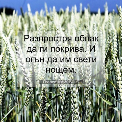Picture 07 - Псалми 105:39 BULG - Разпростря облак да ги - Bible Verse Picture