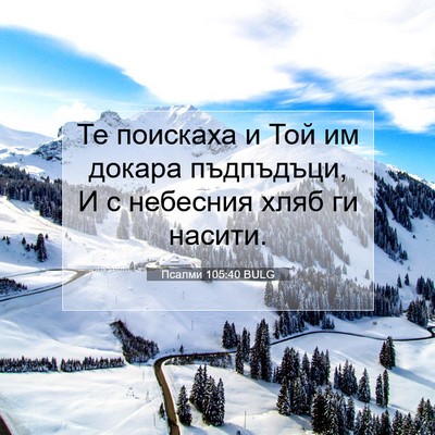 Picture 07 - Псалми 105:40 BULG - Те поискаха и Той им докара - Bible Verse Picture