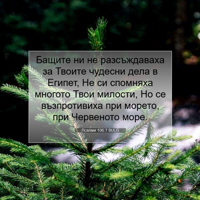 Picture 07 - Псалми 106:7 BULG - Бащите ни не разсъждаваха - Bible Verse Picture