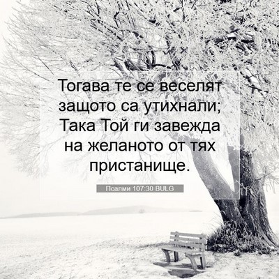 Picture 07 - Псалми 107:30 BULG - Тогава те се веселят - Bible Verse Picture