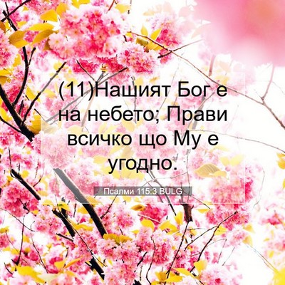 Picture 07 - Псалми 115:3 BULG - (11)Нашият Бог е на небето; - Bible Verse Picture