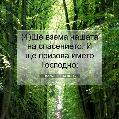 Picture 07 - Псалми 116:13 BULG - (4)Ще взема чашата на - Bible Verse Picture