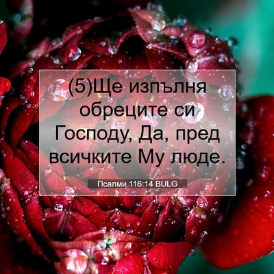Picture 07 - Псалми 116:14 BULG - (5)Ще изпълня обреците си - Bible Verse Picture
