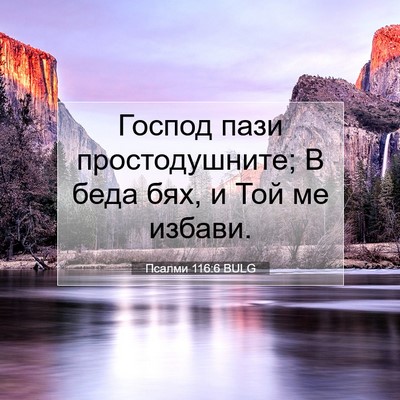 Picture 07 - Псалми 116:6 BULG - Господ пази простодушните; - Bible Verse Picture
