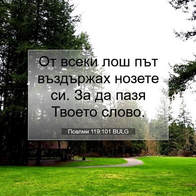 Picture 07 - Псалми 119:101 BULG - От всеки лош път въздържах - Bible Verse Picture