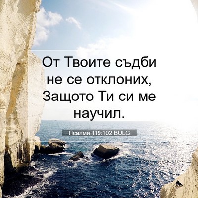 Picture 07 - Псалми 119:102 BULG - От Твоите съдби не се - Bible Verse Picture