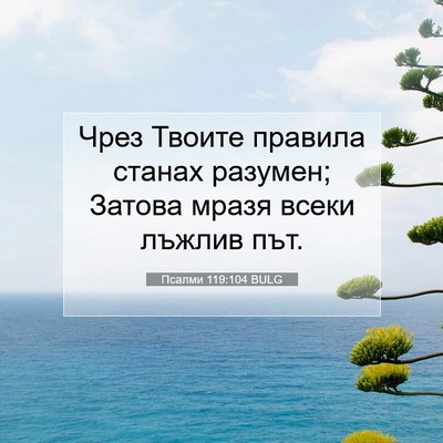 Picture 07 - Псалми 119:104 BULG - Чрез Твоите правила станах - Bible Verse Picture