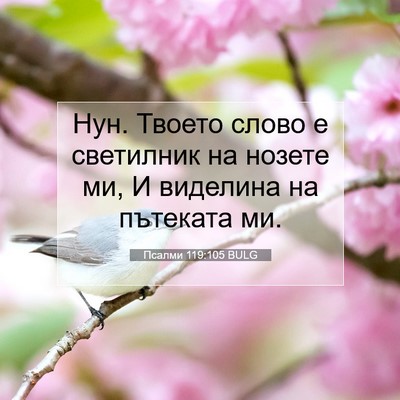 Picture 07 - Псалми 119:105 BULG - Нун. Твоето слово е - Bible Verse Picture