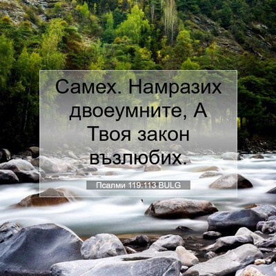 Picture 07 - Псалми 119:113 BULG - Самех. Намразих - Bible Verse Picture