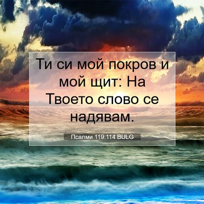 Picture 07 - Псалми 119:114 BULG - Ти си мой покров и мой щит: - Bible Verse Picture