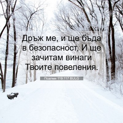 Picture 07 - Псалми 119:117 BULG - Дръж ме, и ще бъда в - Bible Verse Picture