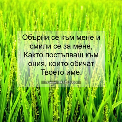 Picture 07 - Псалми 119:132 BULG - Обърни се към мене и смили - Bible Verse Picture