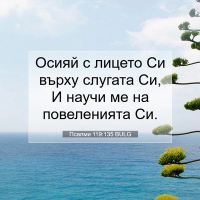 Picture 07 - Псалми 119:135 BULG - Осияй с лицето Си върху - Bible Verse Picture