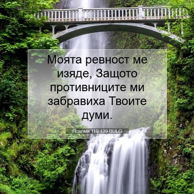 Picture 07 - Псалми 119:139 BULG - Моята ревност ме изяде, - Bible Verse Picture