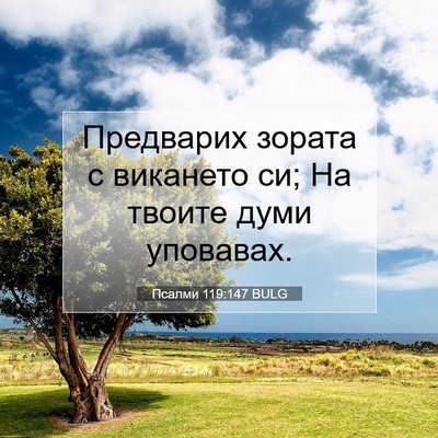 Picture 07 - Псалми 119:147 BULG - Предварих зората с - Bible Verse Picture